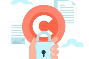 What is Privacy disclosure agreement? A Comprehensive guide